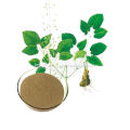 /msite/products/detail/productid/58639592/id/684075.html